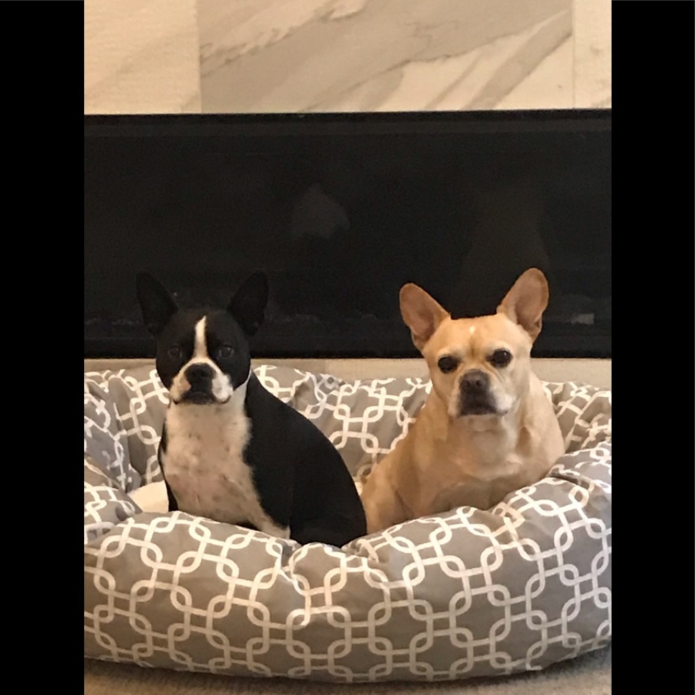 Meet your Posher, Nicole 🌟  Posh Ambassador